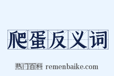 爬蛋反义词是什么意思的图片